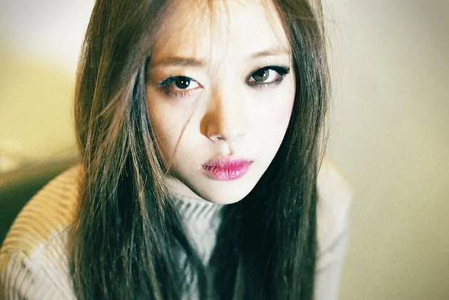 Sulli f(x)