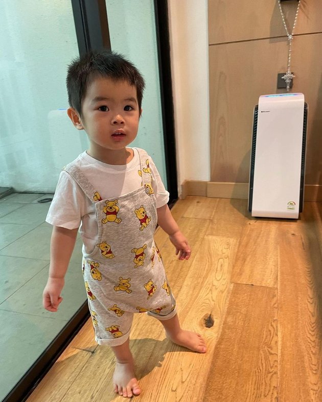 Rich Since Birth, 8 Photos of Mikhael Moeis, Sandra Dewi's Youngest Son, Who is Getting Cuter