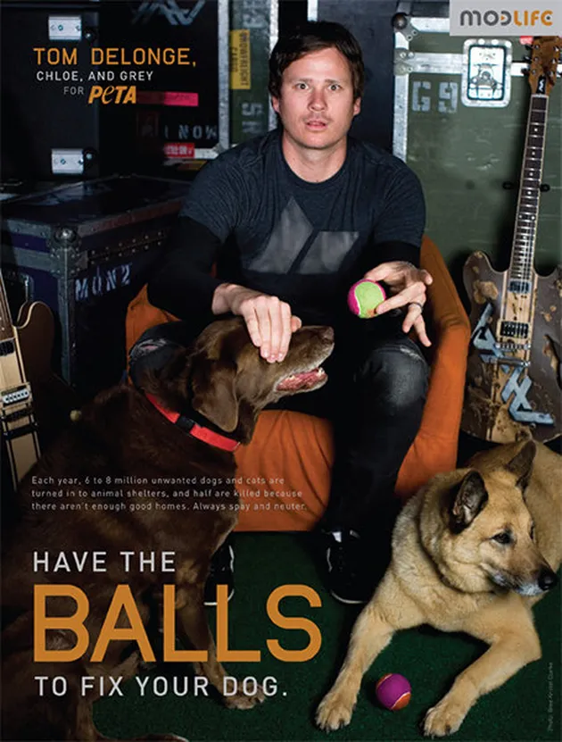Tom DeLonge adalah salah satu contoh musisi lain yang ikut memperjuangkan hak hewan untuk hidup.