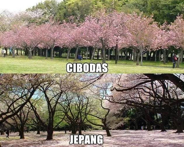Bangunan Dunia