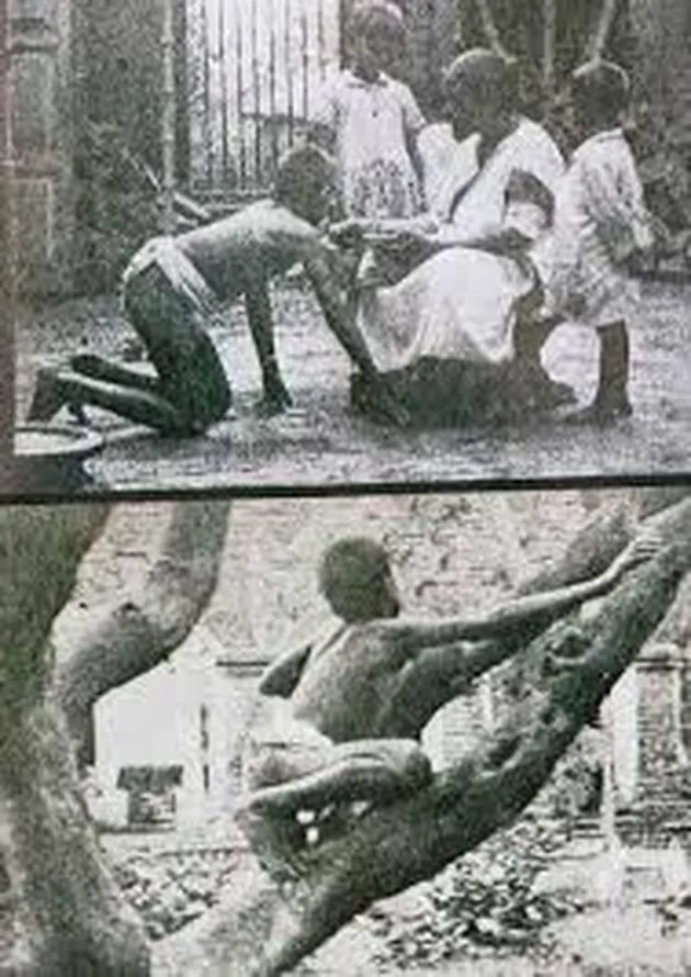 Manusia Dibesarkan Hewan