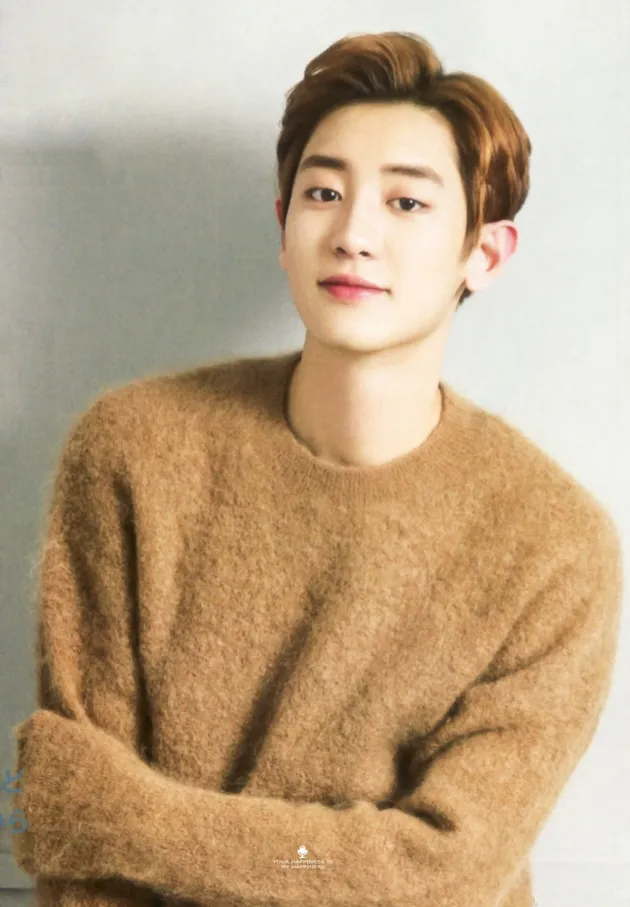 tipe ideal member exo