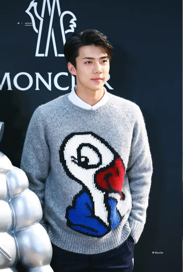 tipe ideal member exo