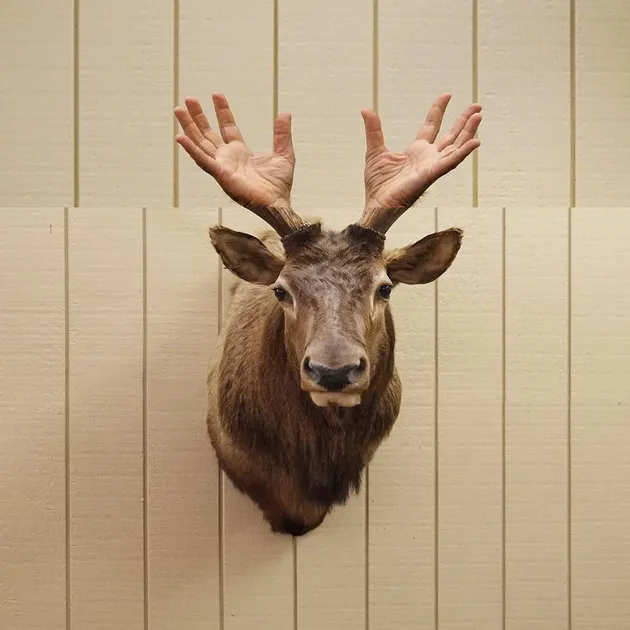 Combophoto karya Stephen McMennamy