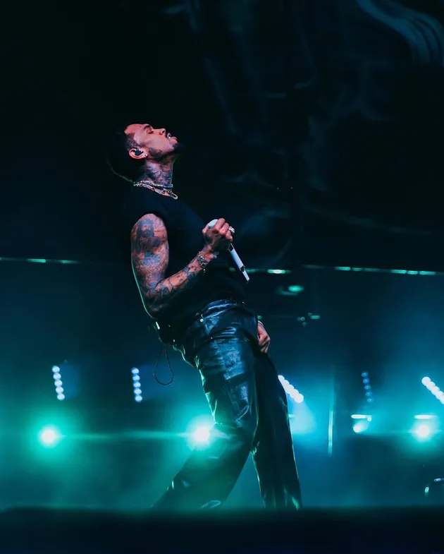 Konser Chris Brown