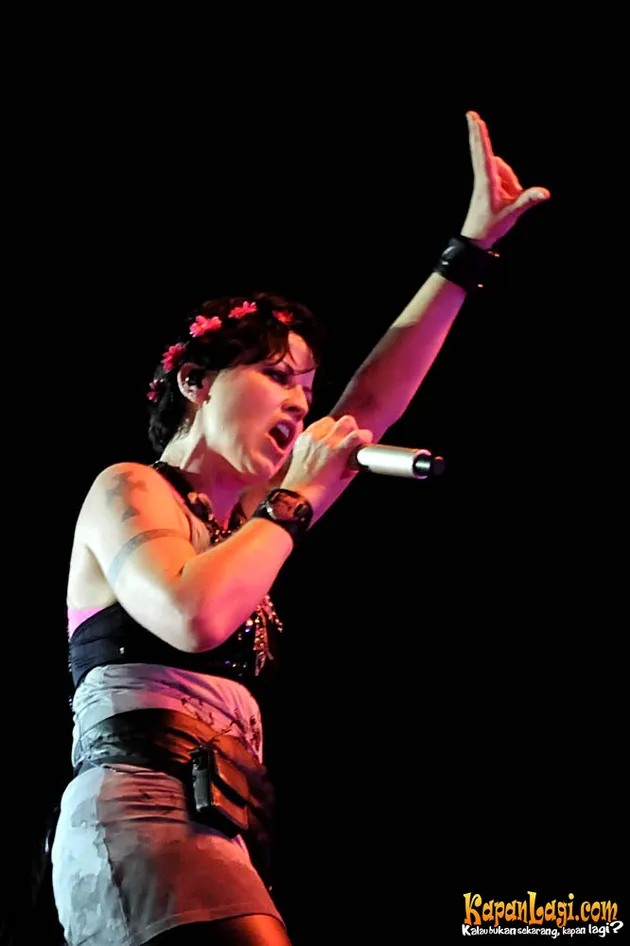 the cranberries