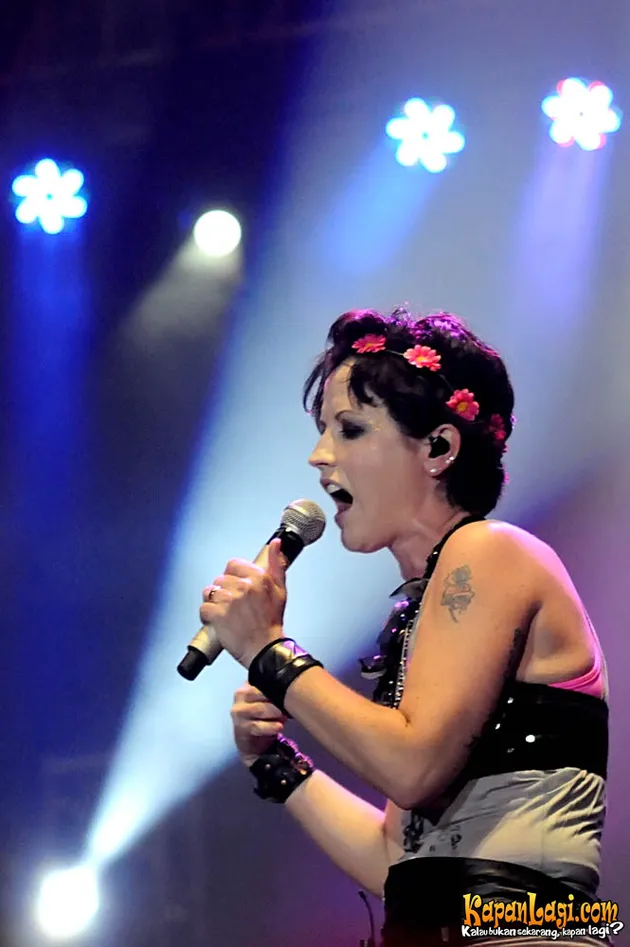 the cranberries