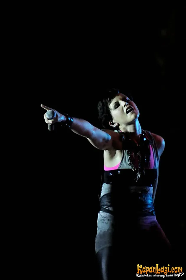 the cranberries