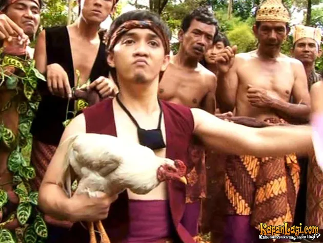 Trans TV