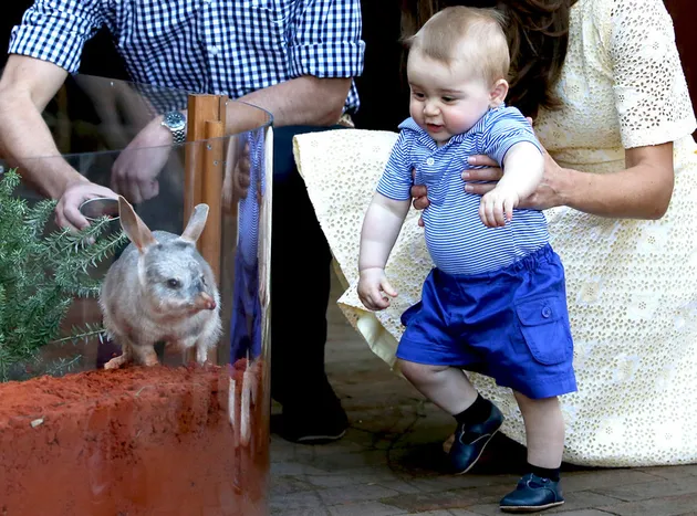 Putra Kate Middleton