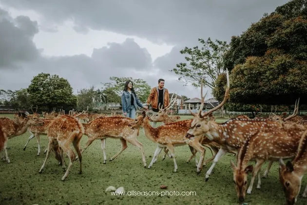 kahiyang ayu, bobby nasution