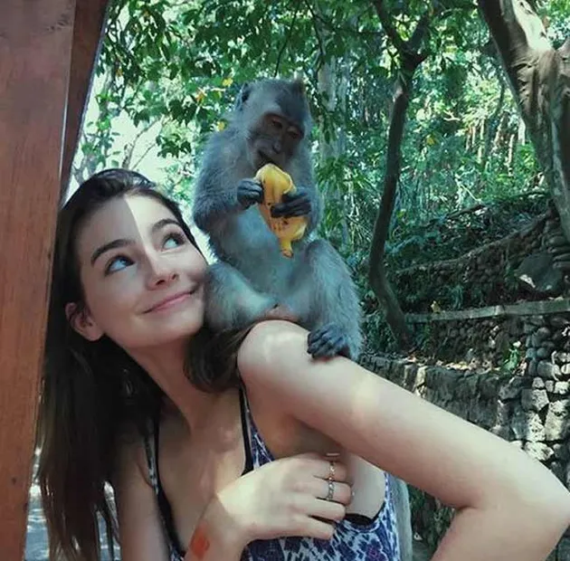 Meadow Walker