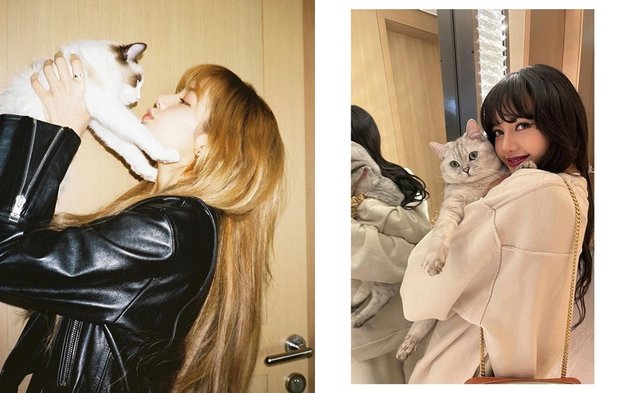 So Cute! Here are 7 Sweet Photos of Lisa BLACKPINK with Her Pets: Leo, Luca, Louis, and Lily