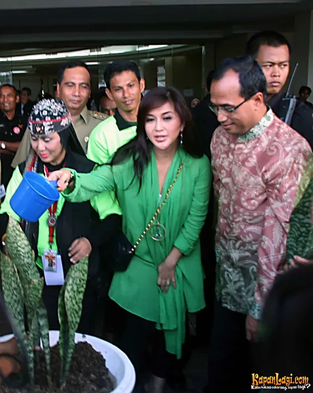 gelar sansevieria indonesia