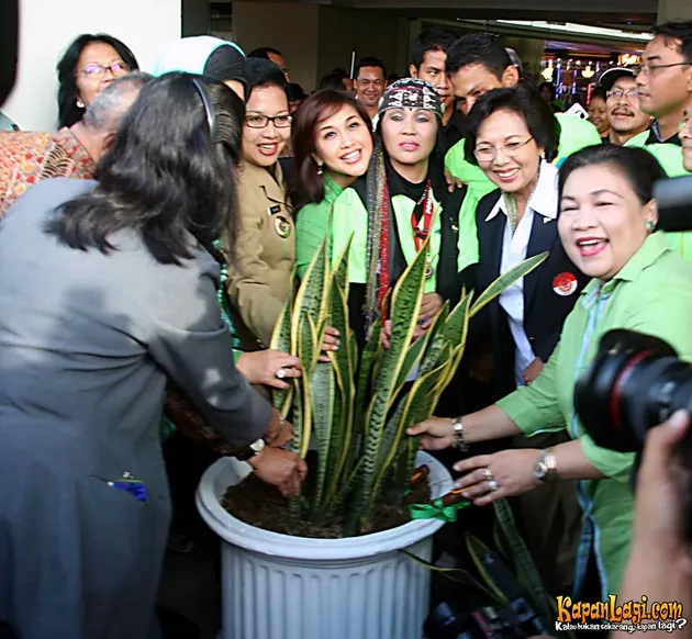 hari bumi 2009
