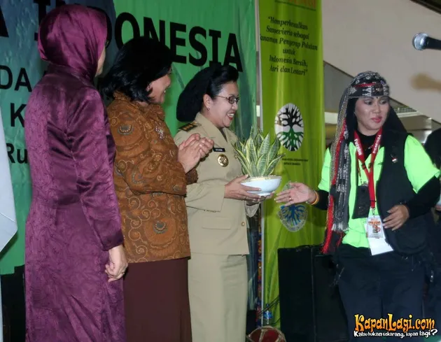 gelar sansevieria indonesia