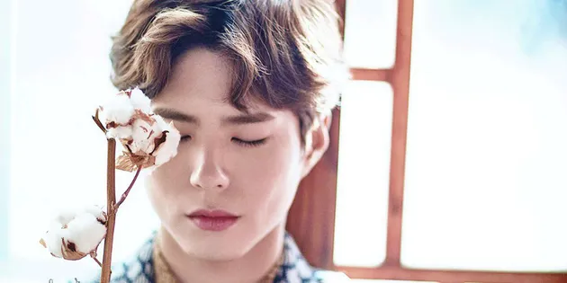 Park Bo Gum memiliki kebiasaan bepergian menggunakan kendaraan umum, dan betul saja hanya beberapa fotonya yang terungkap ke publik.