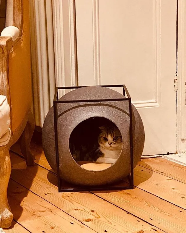 Weekly Hot Instagram