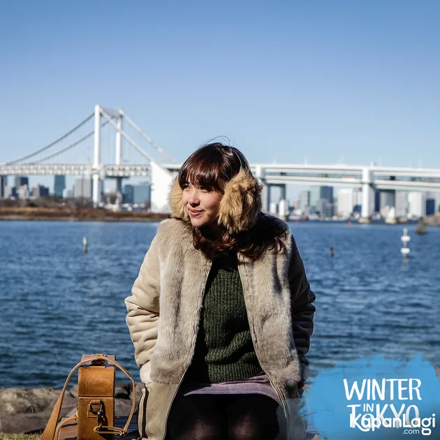 Winter In Tokyo