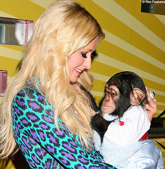 Cowok Ketahuan Lihat Bagian Pribadi