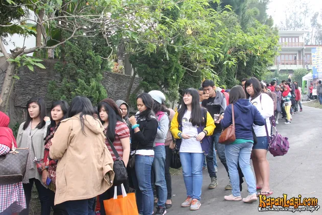 Jazz Gunung 2014
