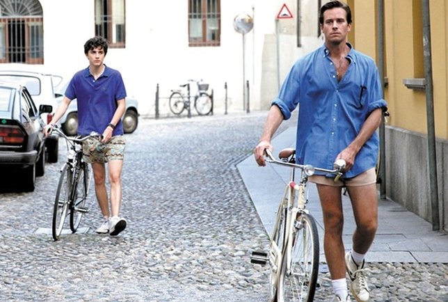 Berperan sebagai Oliver dalam Call Me By Your Name (cred: Thestranger.com)
