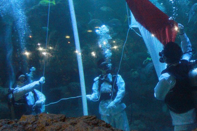 Aurelie Moeremans kibarkan bendera merah putih di akuarium raksasa. © KapanLagi.com/Nuzulur Rakhmah