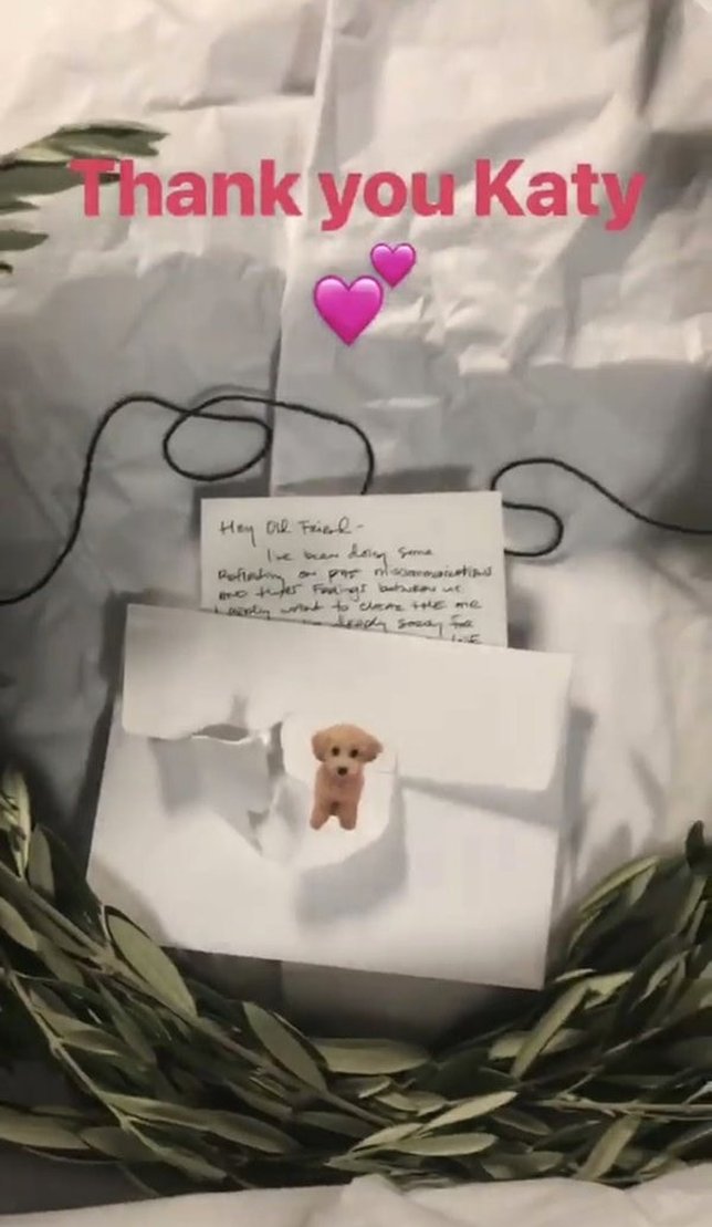 Isi box perdamaian dari Katy untuk Taylor. © Instagram.com/Taylorswift