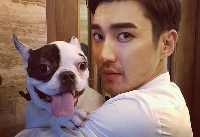 Siwon dan anjignya, Bugsy Š Istimewa