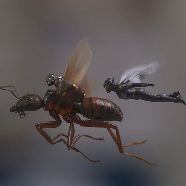 ANT-MAN and THE WASP © Marvel Studios