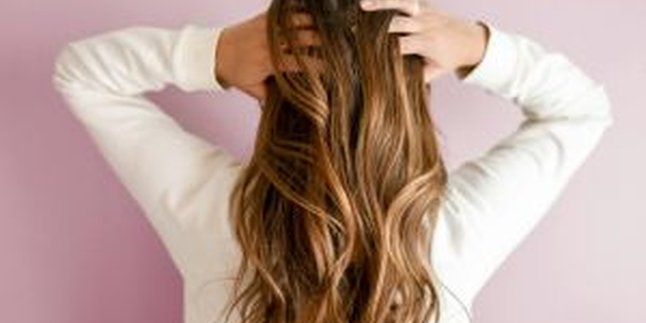 5 Choices of Brown Hair Colors for an Elegant and Trendy Look in 2025