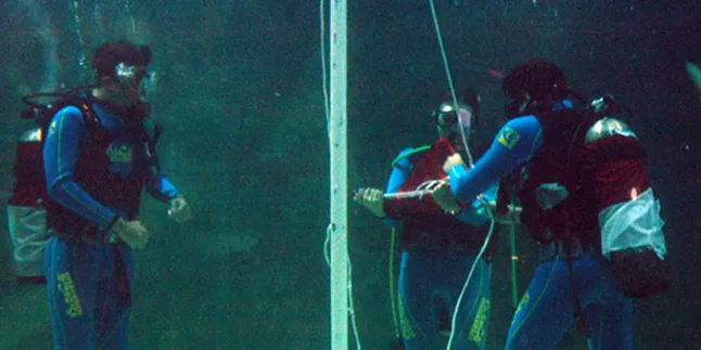 Chandrawinata Bersaudara Sempat Grogi 'Dikurung' Hiu