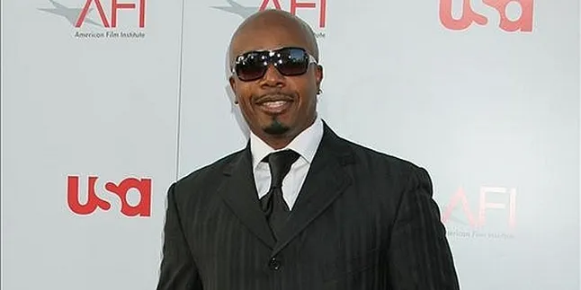 MC Hammer, Dari Rapper ke Pakar Media