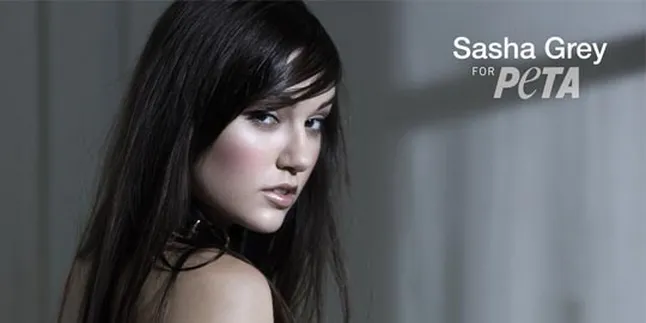 KK Dheraj: Sasha Grey Khusus Untuk Dewasa