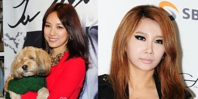 Jea Brown Eyed Girls Akui Vegetarian