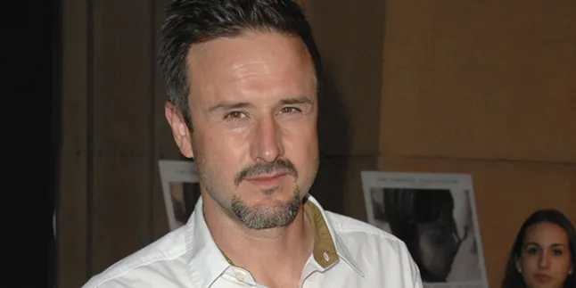 David Arquette Putus Cinta