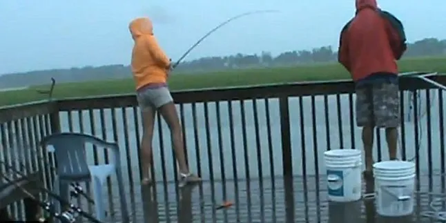 Asyik Memancing, Ikan Gadis Ini Direbut Hiu Berukuran Besar