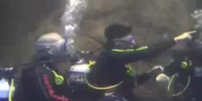 The Wanted Berenang Dengan Hiu