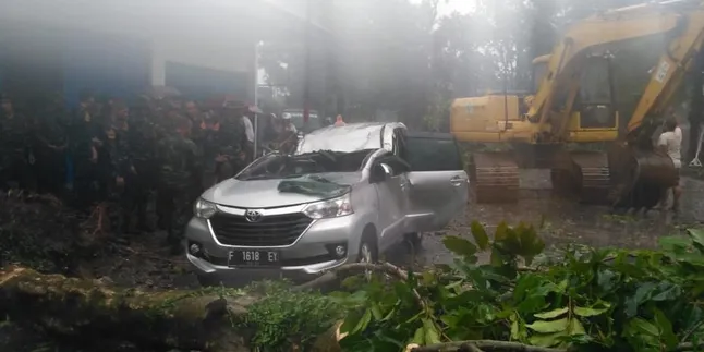 1 Orang Meninggal Dunia Tertimpa Pohon Akibat Puting Beliung di Bogor