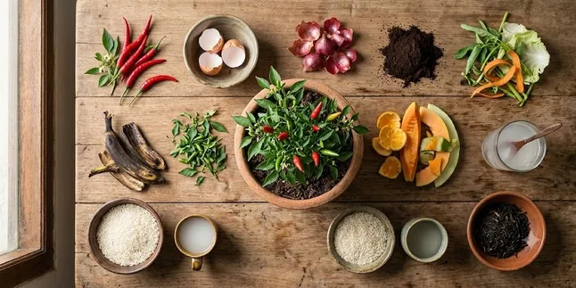 10 Kitchen Ingredients That Can Be Used to Care for Chili Plants to Ensure They Flourish and Bear Fruit Abundantly