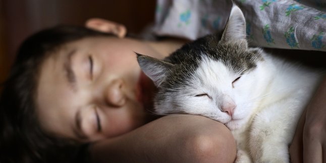 10 Cute Cat Photos When Sleeping with Their Owners, Makes You Adorable Even Though You Have to Compromise