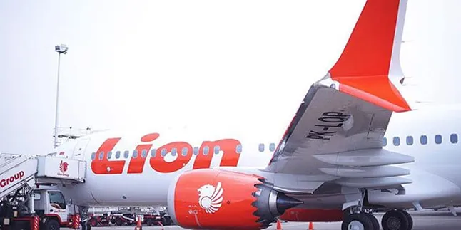 10 Pegawai BPK Juga Jadi Penumpang di Pesawat Lion Air Yang Jatuh