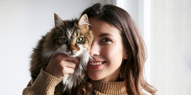 10 Ras yang Dianggap Sulit Buat Pemilik Kucing Pemula, Pertimbangkan Sebelum Memeliharanya