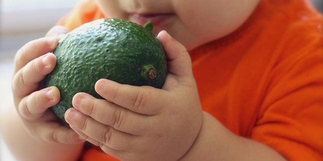 10 Recommended Vegetables for Babies 6-12 Months Old, Rich in Nutrition