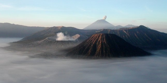 10,582 People Visit Bromo Area Since It Was Opened, Quota Increased