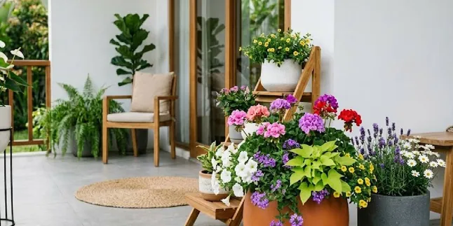 12 Ideas for Combinations of Decorative Flowers in Pots for a Neat and Green Minimalist Terrace