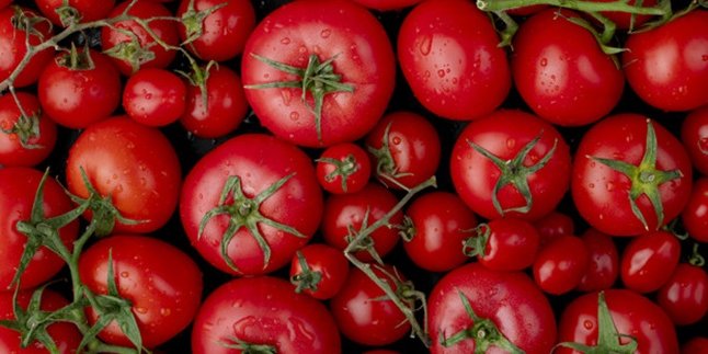 15 Manfaat Tomat Bagi Kesehatan Tubuh, Kaya Nutrisi dan Vitamin