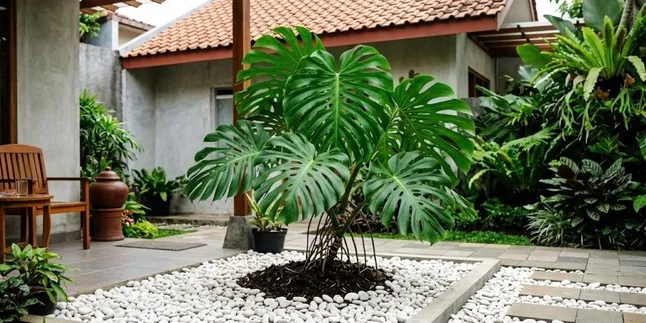 16 Plants That Are Suitable to Combine with Coral Stones in the Garden, Make Your Home More Beautiful