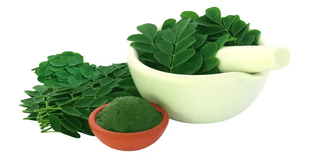 3 Metode Praktis Merebus Daun Kelor untuk Menurunkan Kolesterol dan Asam Urat dengan Mudah!