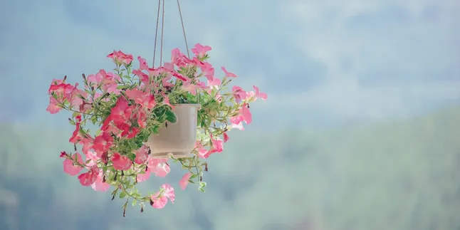 350 Kata Kata Indah Penuh Makna untuk Inspirasi dan Motivasi